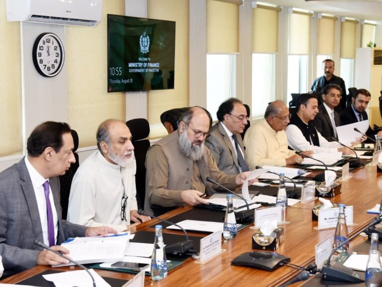 CCoSOEs approves restructuring of NESPAK board