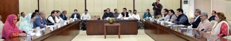 Citizens must be protected from unlawful prosecution, Ali Zafar