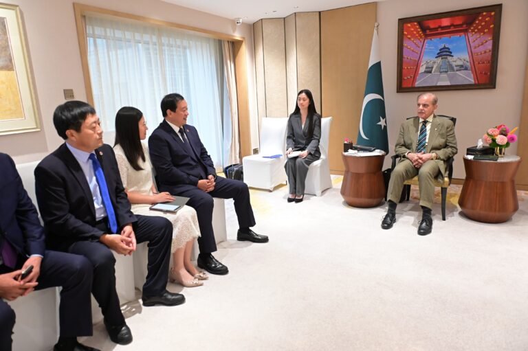 PM urges Chinese firms to invest in Pakistan