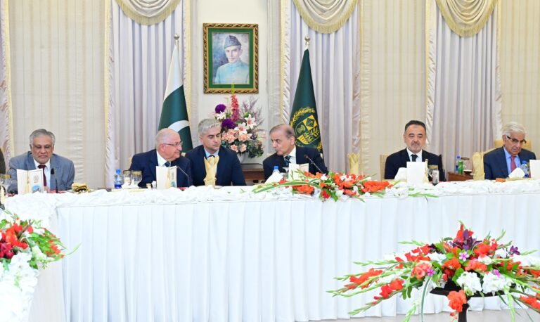 PM urges Turkish firms to expand investments in Pakistan