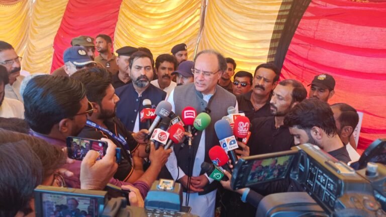 سیلاب متاثرین کو ریلیف کیلئے حکومت دستیاب وسائل استعمال کر رہی ہے ،وزیر خزانہ