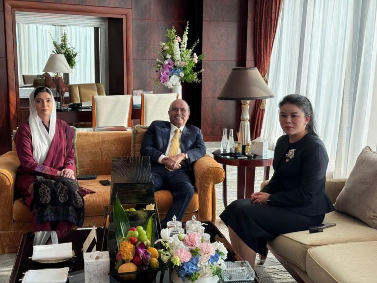 Vice President of China Africa Chamber of Commerce Calls on President Zardari