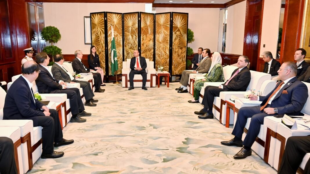 President Zardari meets Chairman of Chery Holding in Shanghai