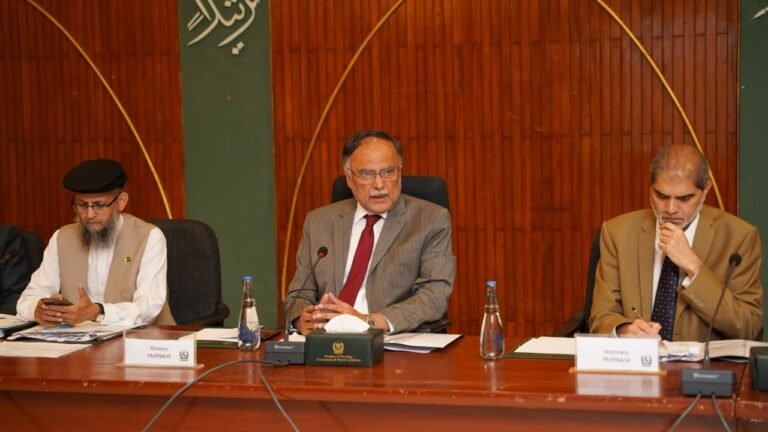 PSDP utilization tops Rs.1 trillion, a record, Minister