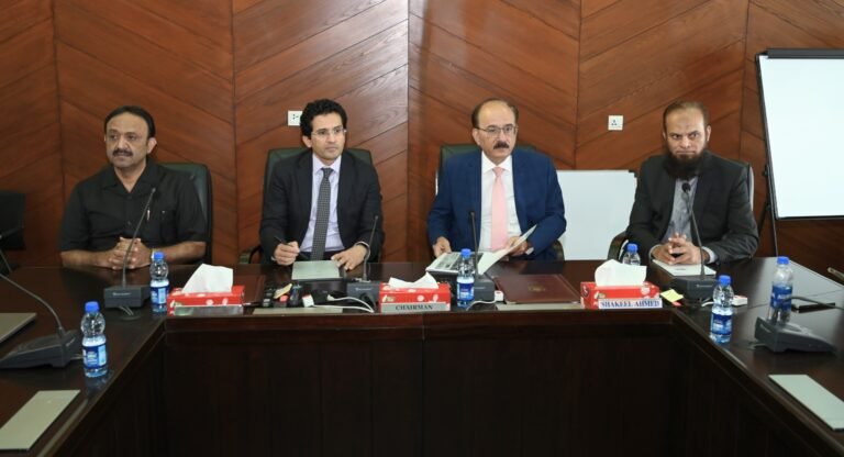 Regulator must safeguard petroleum sector sustainability, Ali Pervaiz Malik