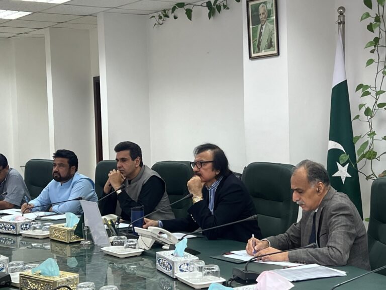 Pakistan to estb AI, R&D, and Skills Centers under PM’s vision, SPAM