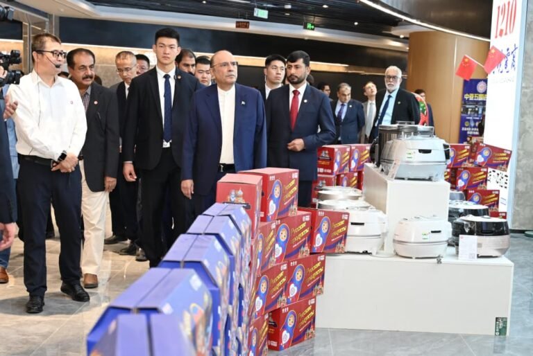 President visits Kashgar Free Trade Zone hub