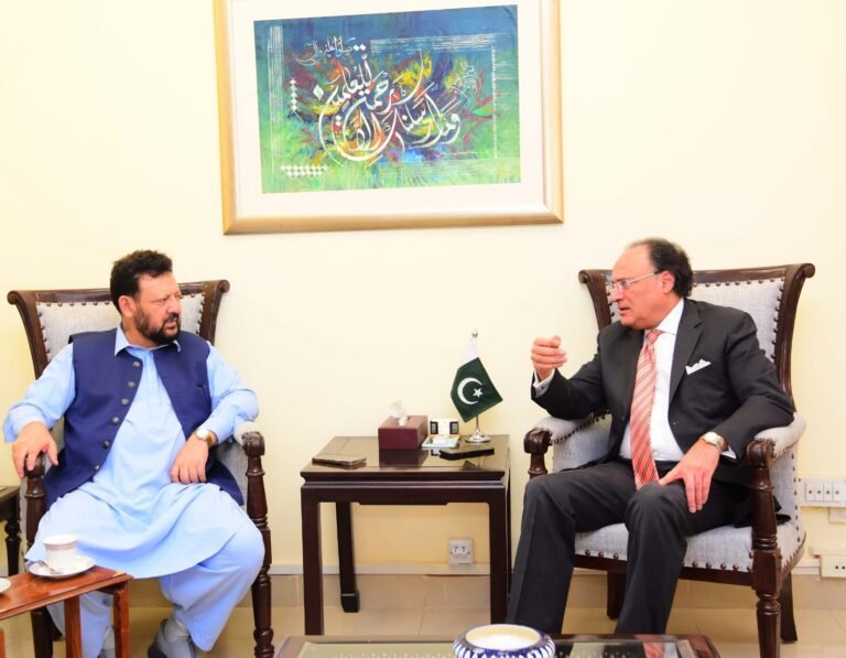 GB government to seek new revenue sources, Aurangzeb