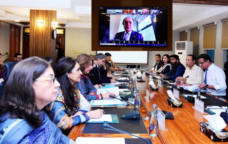 Finance Minister Virtually Chairs Meeting of ECC