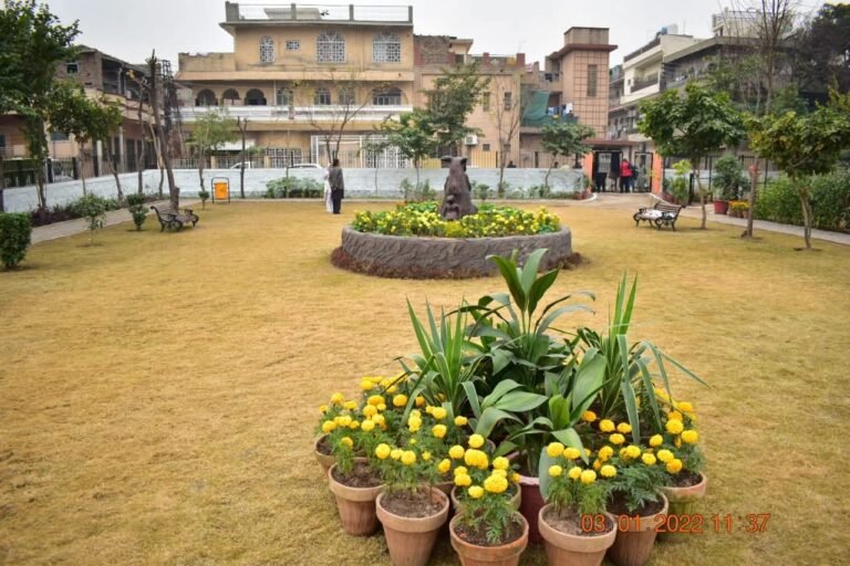 PHA to make parks, green belts in the city