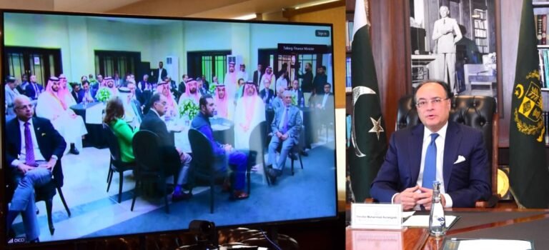 Finance Minister Reaffirms Pakistan’s Commitment to Private Sector
