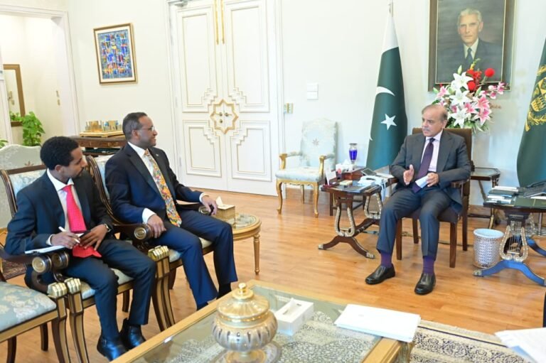 PM bids farewell to outgoing Ethiopian ambassador