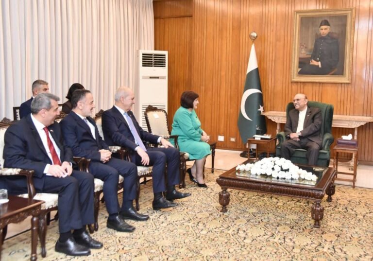 Speakers of Türkiye and Azerbaijan Parliaments Call on President Zardari