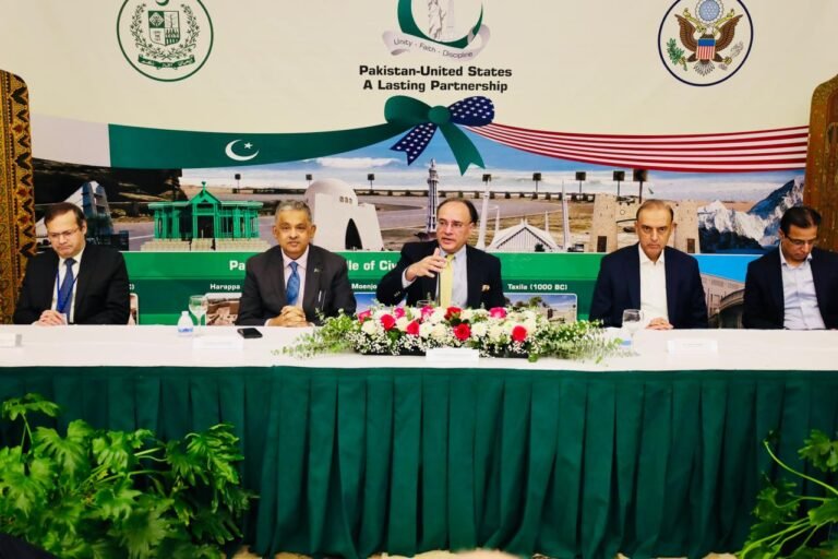 FM Finance hails contributions of overseas Pakistanis