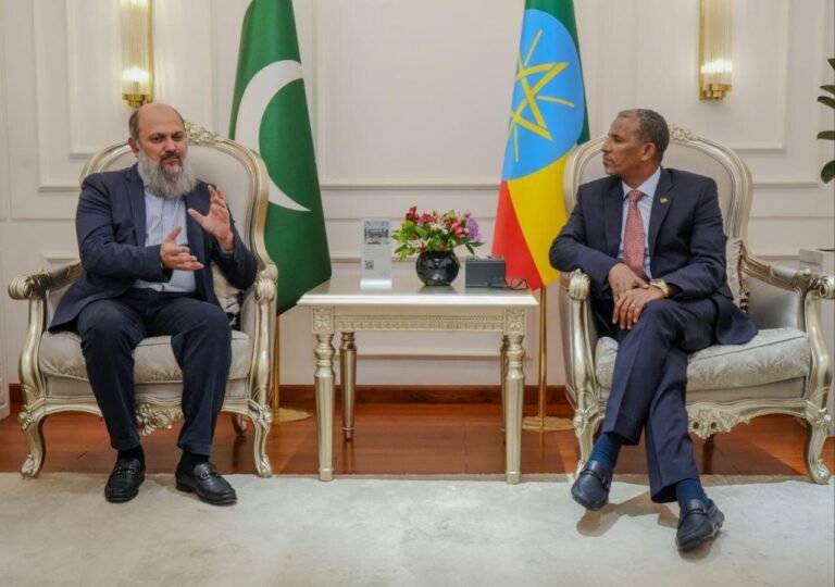 Pakistan focused on building partnerships in Africa