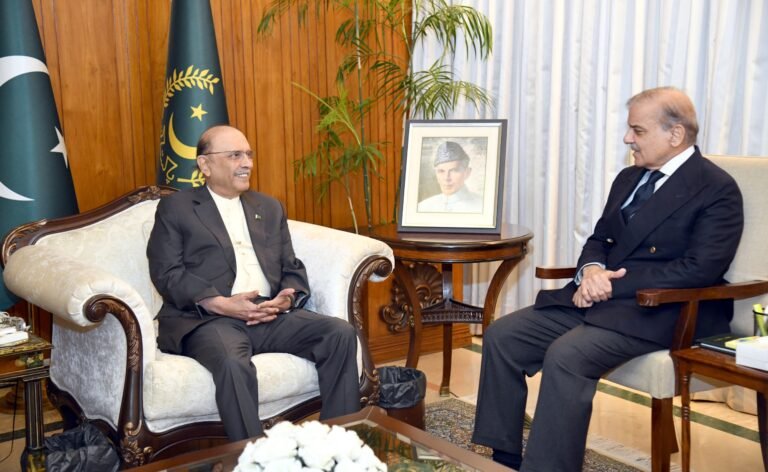 President Zardari, PM discuss matters of national significance