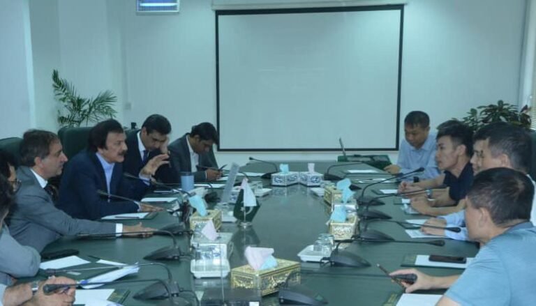 Chinese Tiles Delegation Meets SAPM Khan on FBR Camera Policy