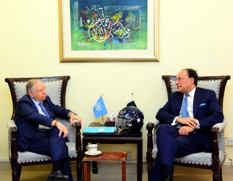 Finance Minister meets UN envoy for Road Safety