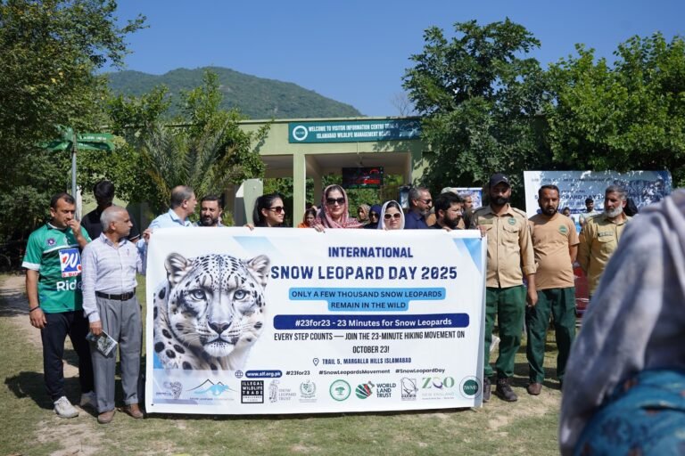 Pakistan marks Snow Leopard Day with a 23-minute hike