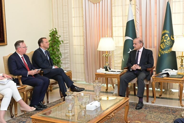 PM invites Polish companies to invest in diverse fields PM invites Polish companies to invest in diverse fields