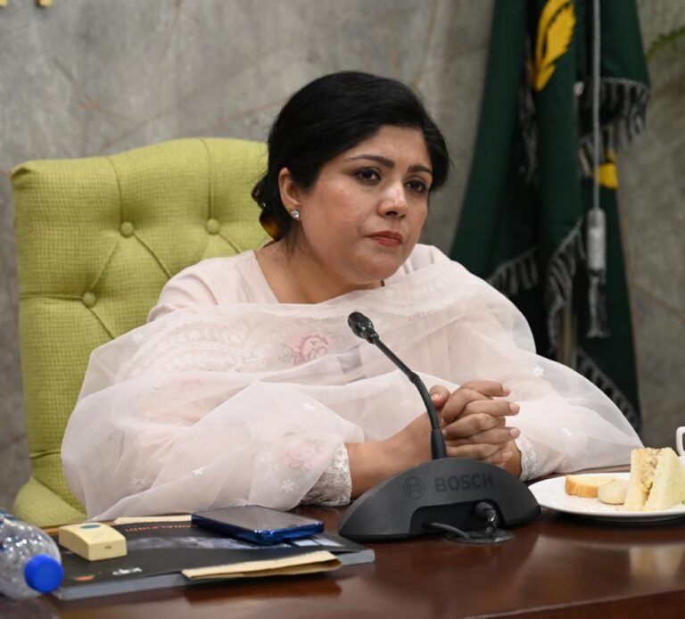 On CM Punjab Maryam Nawaz Sharif’s Directions, Work on RRR Project Progressing Rapidly