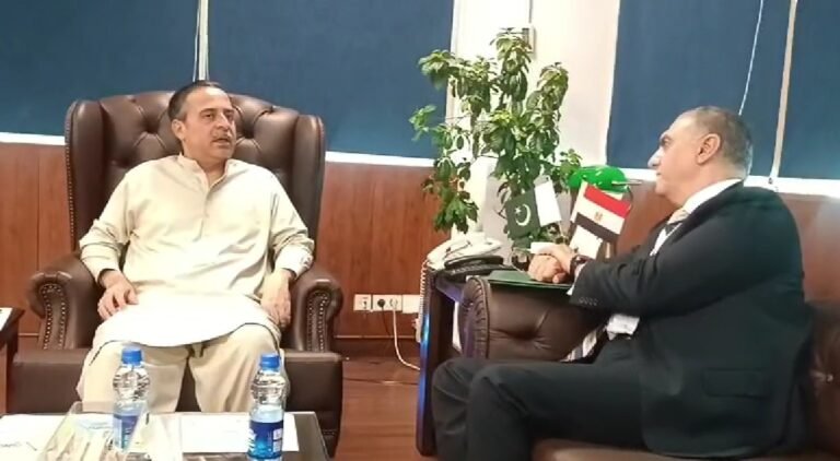 Pakistan aims to deepen maritime trade with Egypt, Junaid Ch