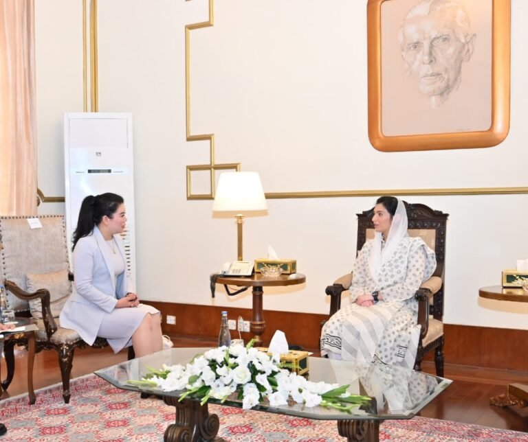 Pakistan, China to mark 75 years of diplomatic ties next year, Hao