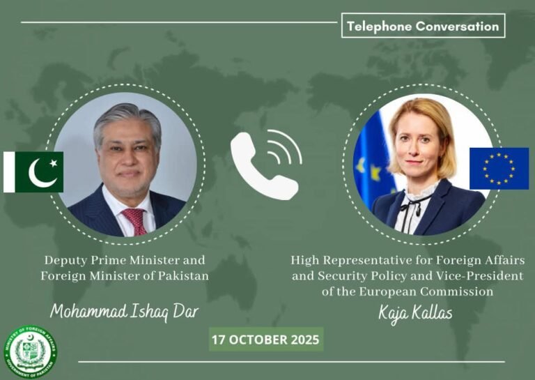 DPM, Kallas discuss positive momentum in Pak-EU ties