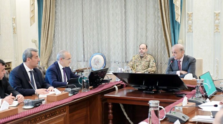 PM reaffirms commitment to expand ties with Azerbaijan