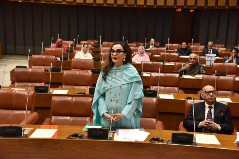 PPP will stand guard on the federation’s rights