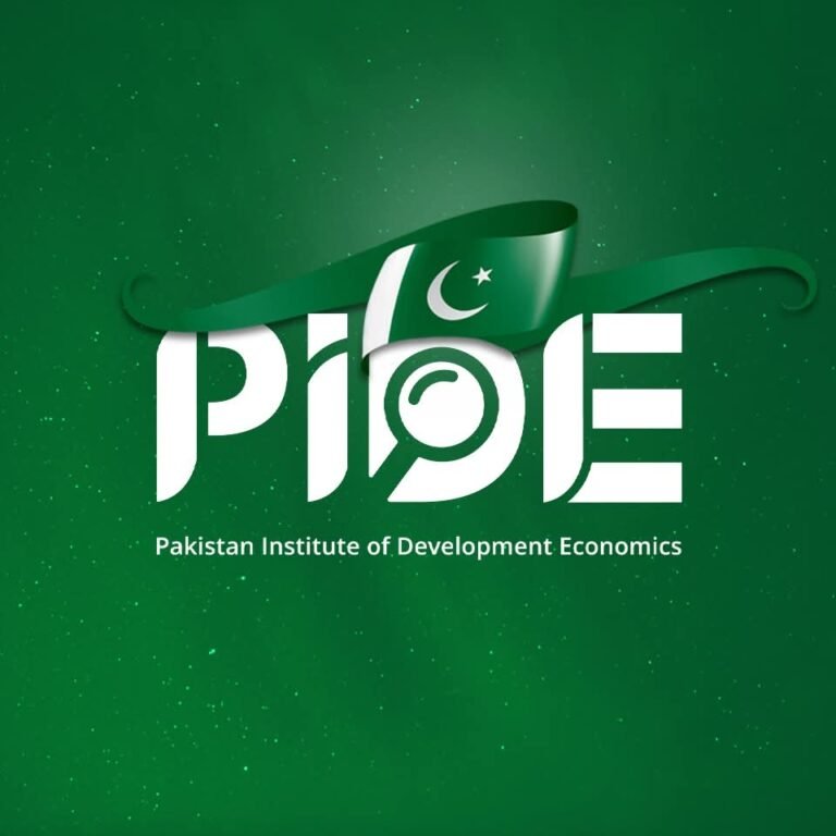 Electricity costs hit lower-income households the hardest, PIDE Study