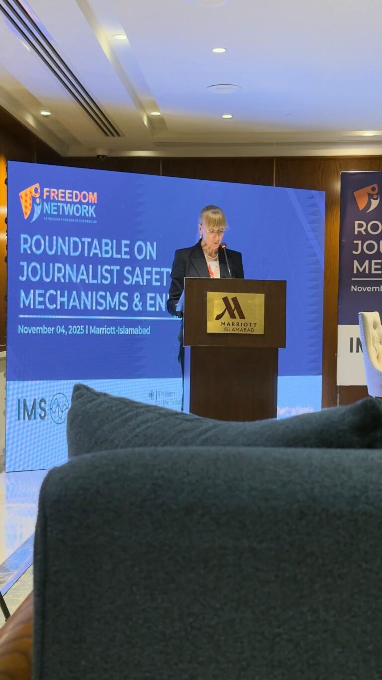 Journalism remains a high-risk profession, Amb Lepel