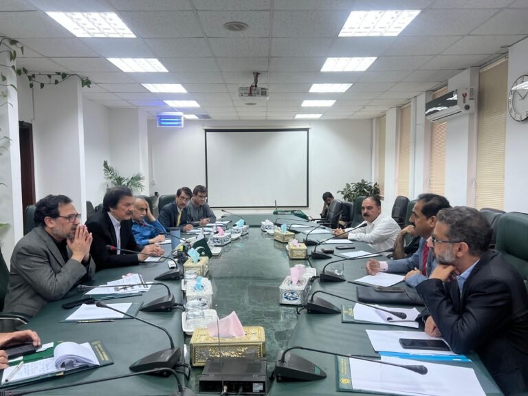 Pakistan to Introduce National Marble Policy to Boost Industrial Growth, SAPM