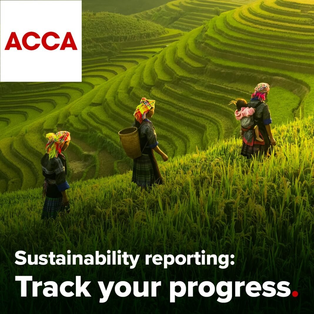 Interconnected sustainability and financial information vital for resilient organisations, Report