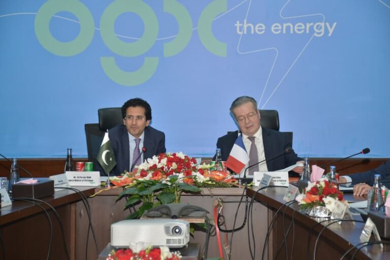 France sees great potential in Pakistan’s minerals sector, Nicolas Galey