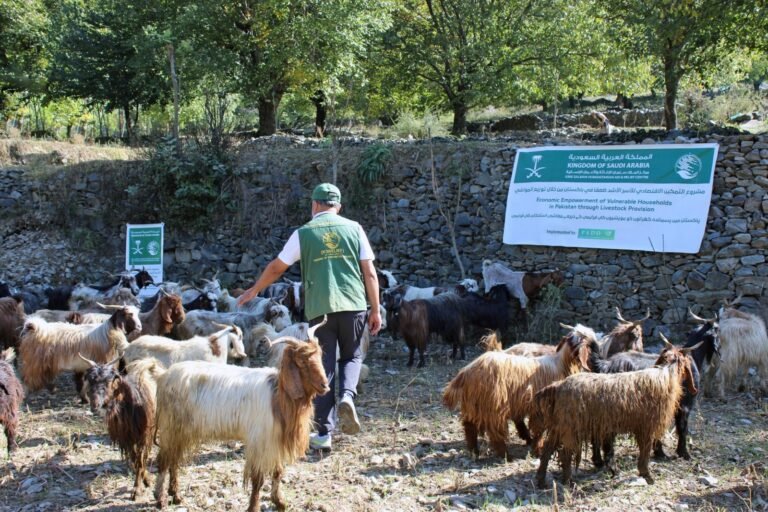 KSrelief wraps up first phase of its livestock empowerment project in Pakistan
