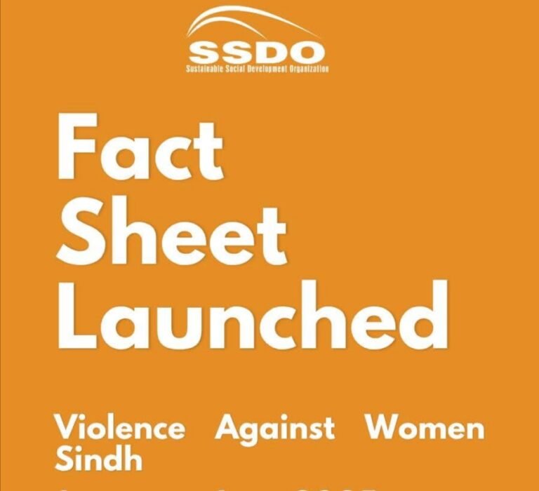 3,505 violence against women cases reported in Sindh, H1 2025
