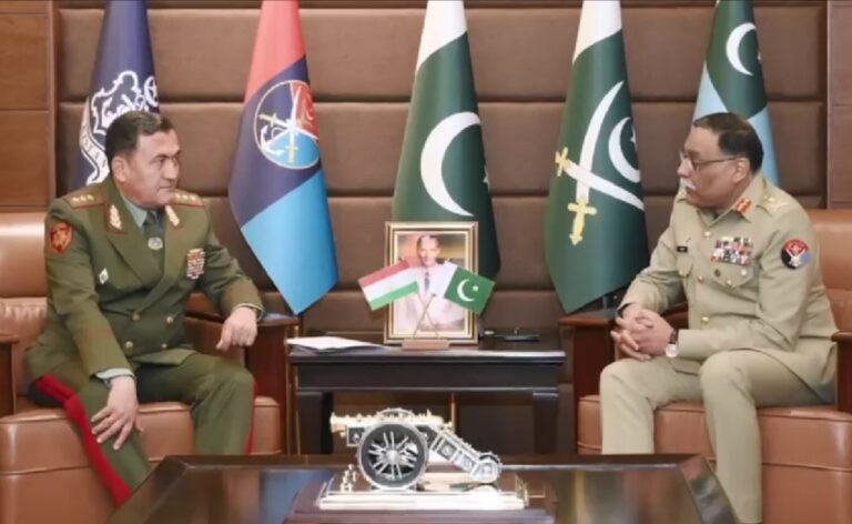 Pak-Tajikistan committed to deepen defence ties for regional peace