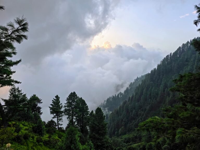 NDMA Weather Advisory ahead of approaching Westerly Wave