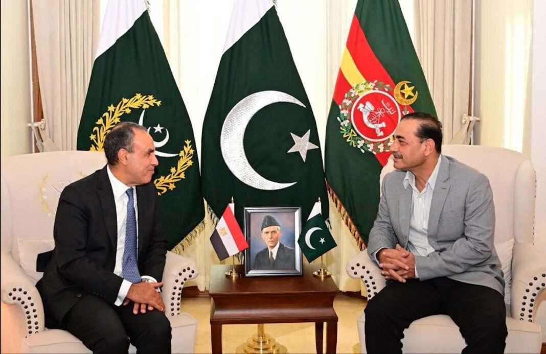 COAS, Egyptian FM vow to deepen long-standing ties