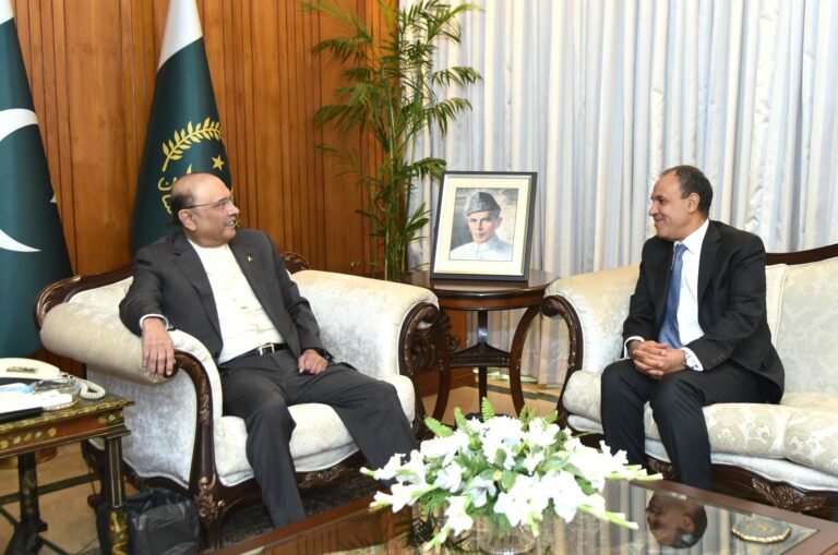 President Zardari stresses greater investment with Egypt in diverse fields