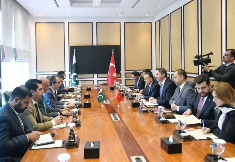 Turkish Investor Keen in Privitization of Power Sector Entities