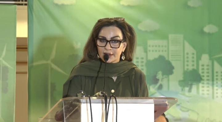 Pakistan Faces 49% Cement emissions, 88% Urban expansion, Sherry