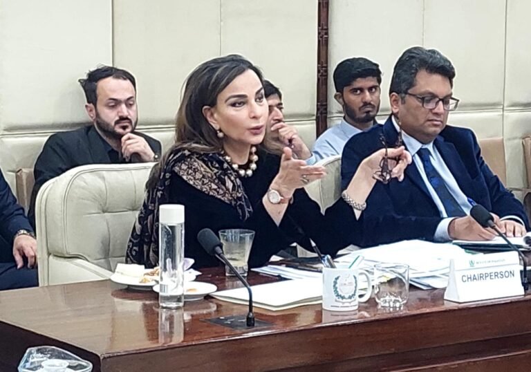 Violence Online and Offline Must End, Sherry