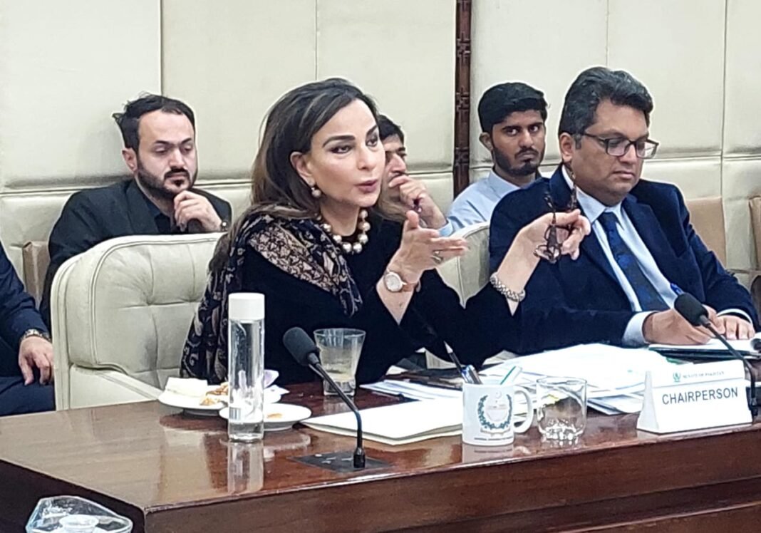 Pollution kills 256,000 people in Pakistan annually, Sherry