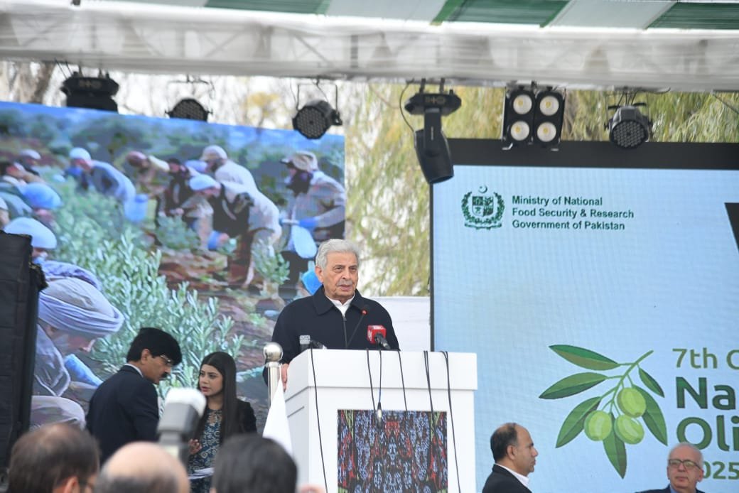 Pakistan’s climate is ideal for growing premium olives, Rana Tanveer
