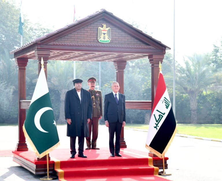 President Asif Ali Zardari Meets Iraqi President
