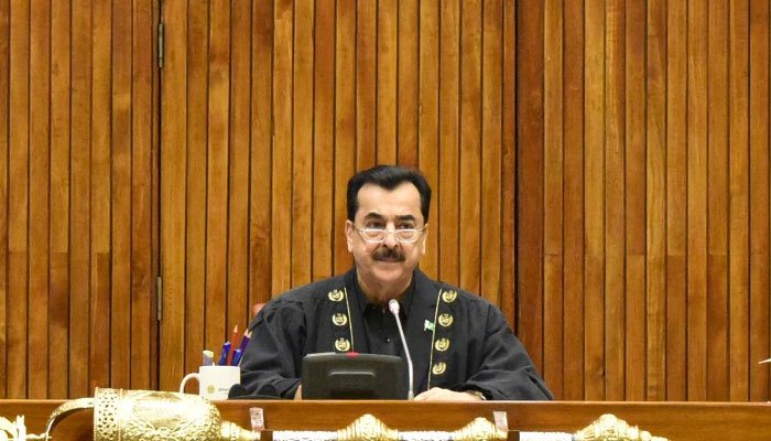 Chairman Senate Expresses Deep Grief Over Demise of Barrister Sultan Mehmood Ch