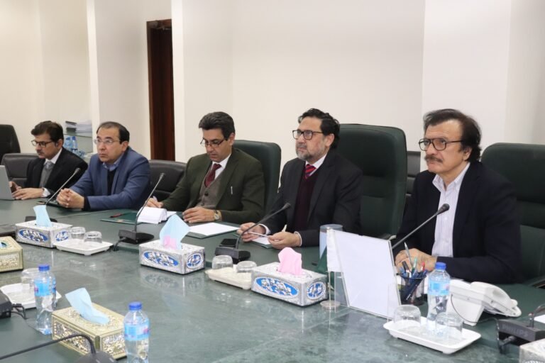 Pakistan to drive battery manufacturing through phased localization