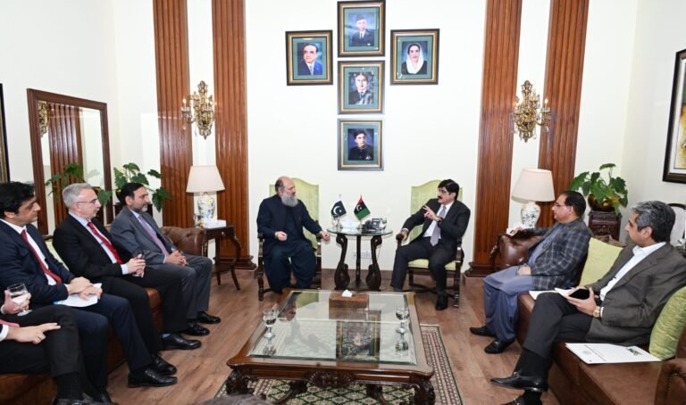 CM Sindh, Fede Commerce Minister discuss development projects
